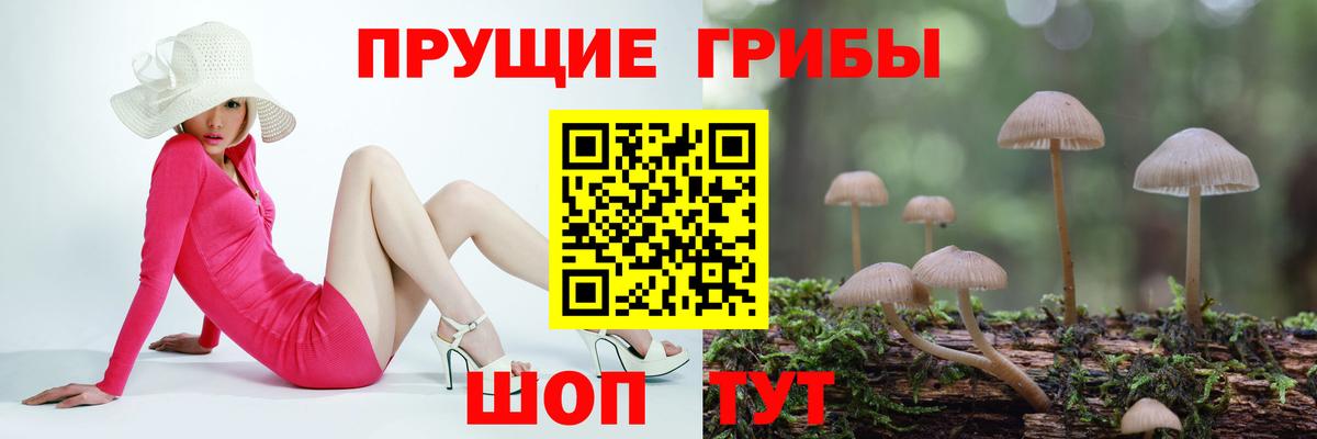 Псилоцибиновые грибы GOLDEN TEACHER Воронеж